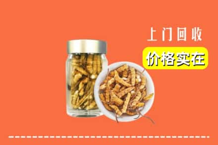 收购资讯:中山石岐区回收散虫草