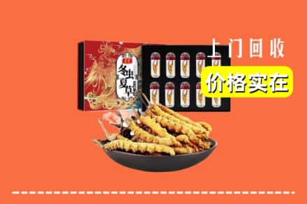 中山石岐区回收虫草