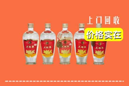 中山石岐区回收老五粮液